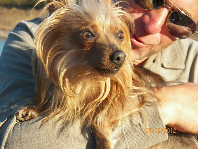 Andre Sha фотография #11