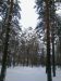  фотография #13