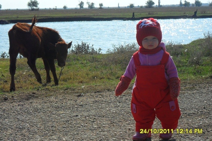 Сергей Тронд фотография #11