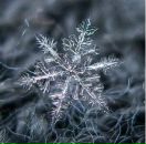 Андрій Лекар фотография #15 (источник - https://vk.com/id118550196)