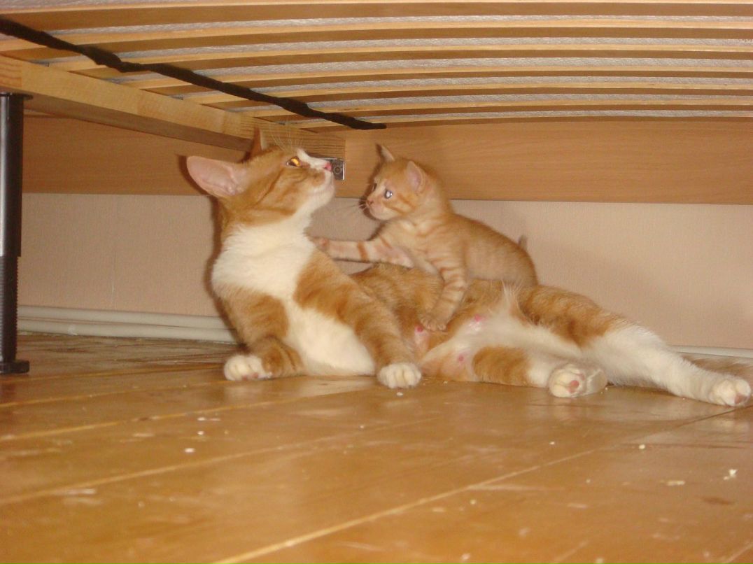 Оля Хапцова фотография #23