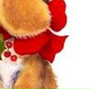 Регіна Зубрицькі фотография #16 (источник - https://vk.com/id44264845)