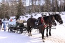 Тимофей Верховод фотография #19 (источник - https://vk.com/id520156)