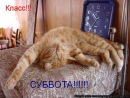 Фотография Суворова Дениса