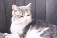 Фотография Соболева Станислава