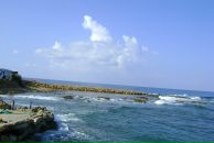 Princessa София фотография #41 (источник - https://vk.com/id852922)