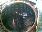 Юлія Гедз фотография #9 (источник - https://vk.com/id5930951)