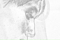 Фотография Хмуриной-Галактионовой Людмилы