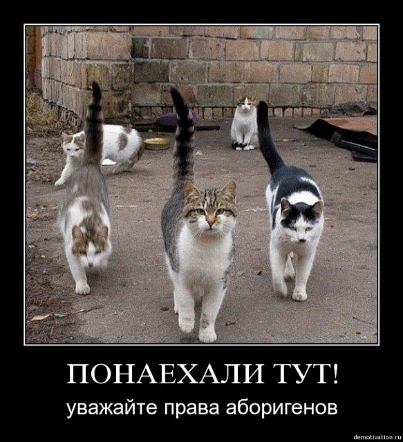 Olga Olla фотография #50