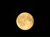 Фотография Мазитовой Наталии