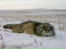 Фотография Караваевой Виктории