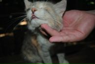 Фотография Лапшова Андрея