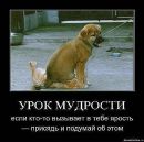 Інна Захарюк фотография #4 (источник - https://vk.com/id20169938)