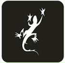 Фотография Витебской Анастасии