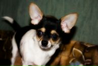 Фотография Николаевой Евгении