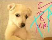 Фотография Шкариной Татьяны