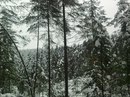Василинка Бігун фотография #34 (источник - https://vk.com/id114353675)