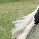 Даша Матинян фотография #30 (источник - https://vk.com/id34196743)