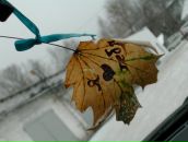 Фотография Бажановой Людмилы