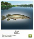 Віктор Кухар фотография #11 (источник - https://vk.com/id68967263)