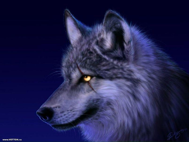 Сайдаш Иргит фотография #21