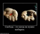 Дмитрий Антоненко фотография #30 (источник - https://vk.com/id49918827)