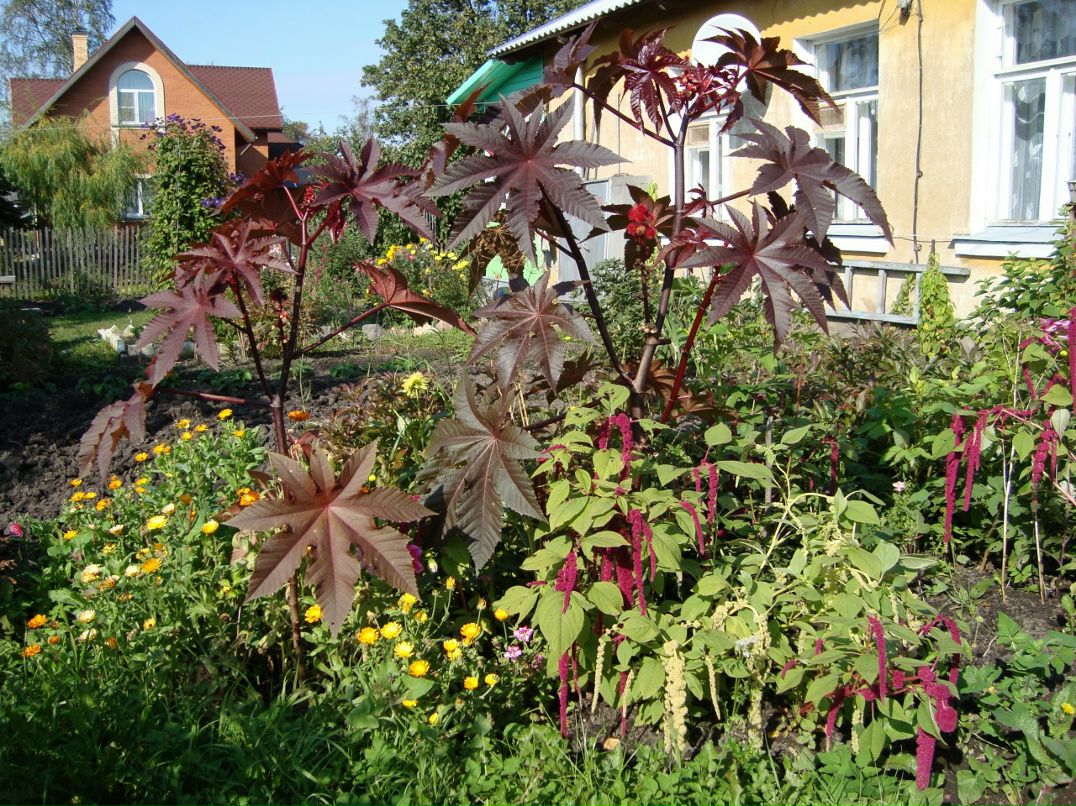 Виктор Башкин фотография #38