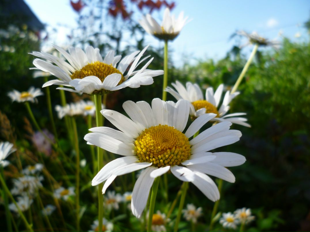 Ольга Коваленко фотография #28