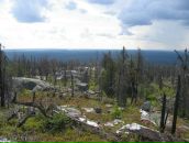 Иван Паньков фотография #48 (источник - https://vk.com/id746503)