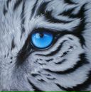 Фотография Жуйкова Кафия