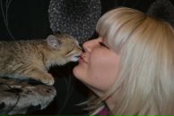 Фотография Мещеряковой Наталии