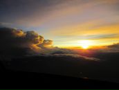 Фотография Багровой Екатерины