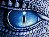 Фотография Виноградовой Светланы