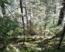 Іванка Галушко фотография #46 (источник - https://vk.com/id147422689)
