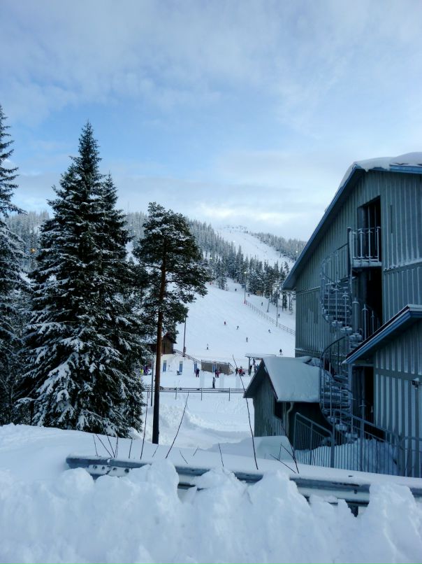 Диня Ирисова фотография #45