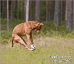 Іван Челленюк фотография #2 (источник - https://vk.com/id86451600)