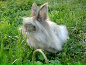 Фотография Бусыгина Антона