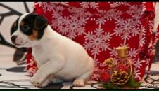 Фотография Подлужновой Татьяны