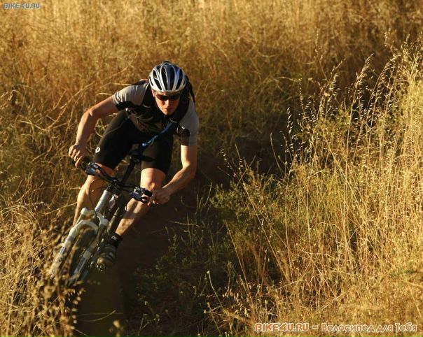 Wads Wolf фото №1