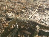 Віталік Майданський фотография #35 (источник - https://vk.com/id24347604)