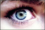 Фотография Колесниковой Надежды