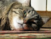 Фотография Макаровой Натальи