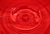 Марина Скобялко фотография #40 (источник - https://vk.com/id254502)