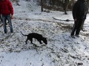 Міша Шеф фотография #47 (источник - https://vk.com/id150120185)