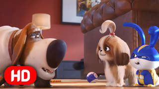 Тайная жизнь домашних животных 2 (2019) Фильмы HD | The Secret Life of Pets 2 Full Movie
